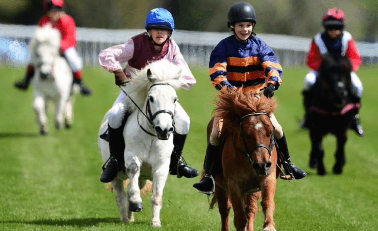 The Role of Jockeys in Horse Racing Success