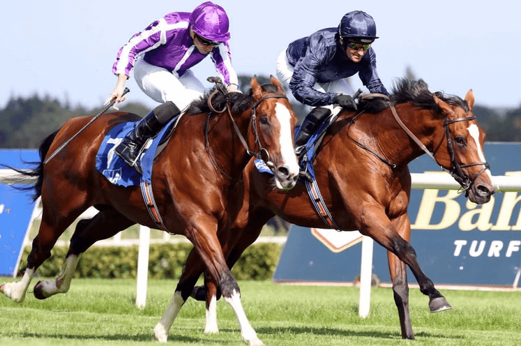 The Role of Jockeys in Horse Racing: What You Should Know