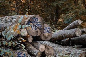 advanced infrastructure performance review logs